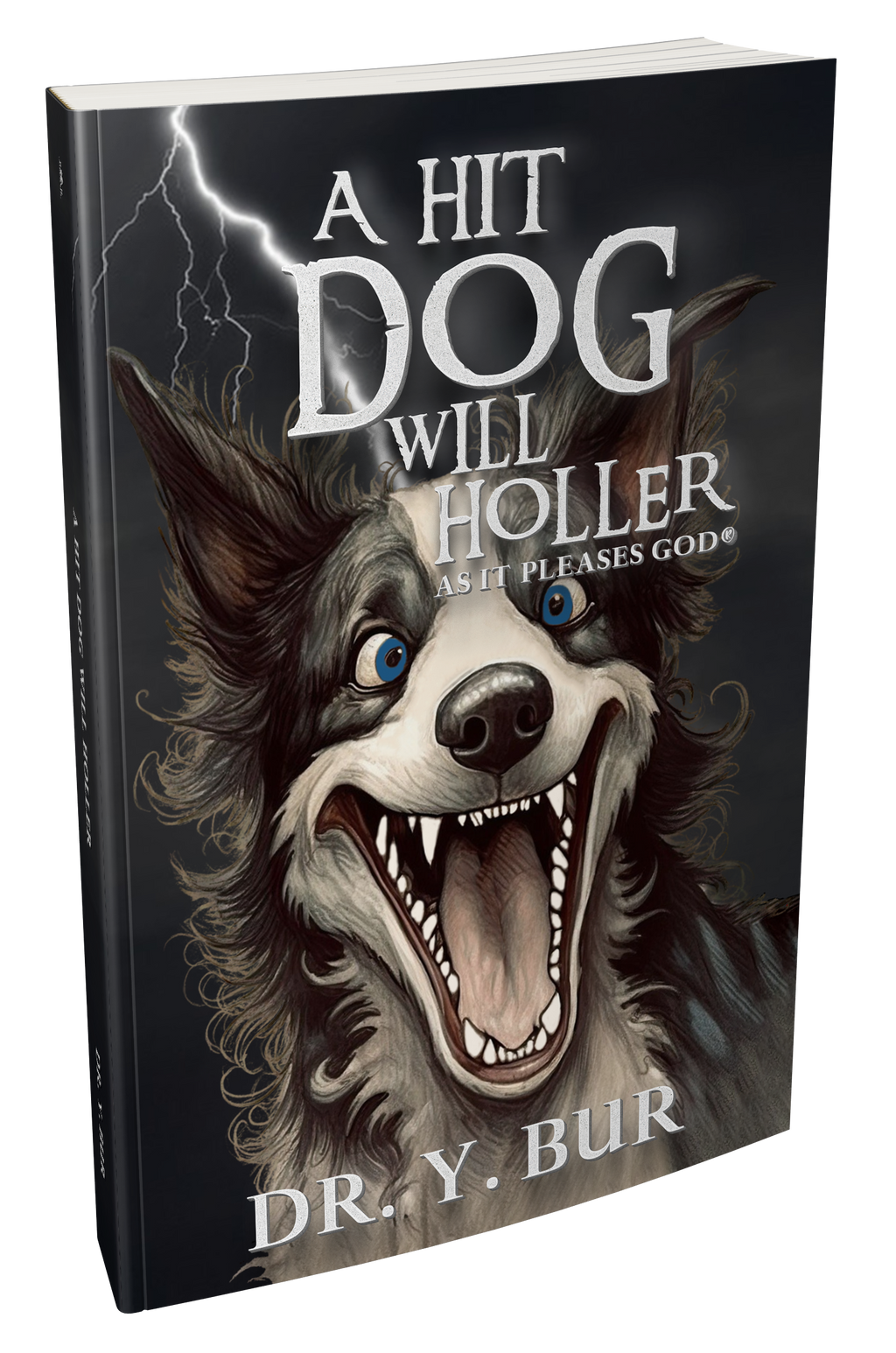 Hit Dog Will Holler eBook by Dr. Y. Bur