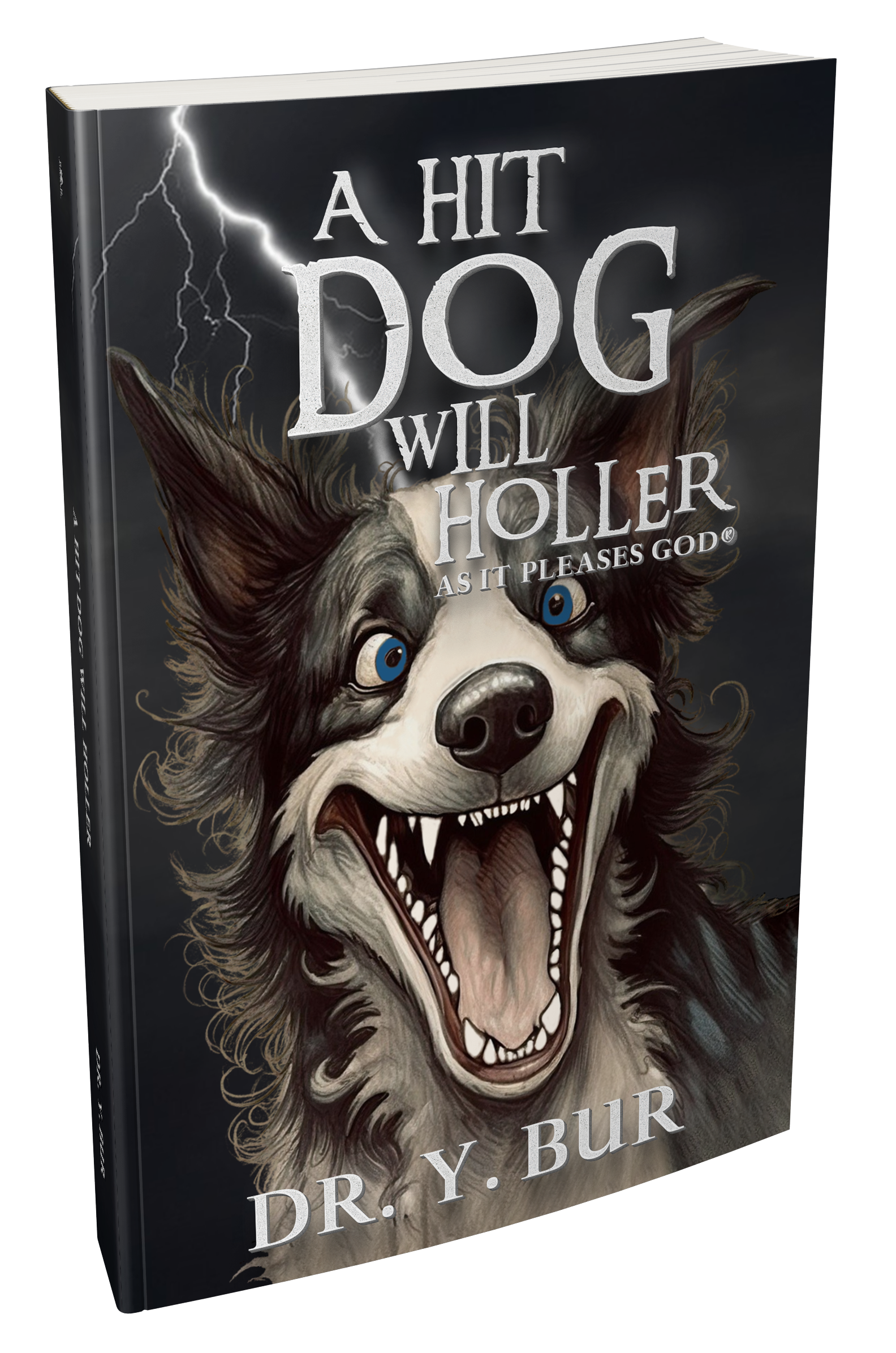 Hit Dog Will Holler eBook by Dr. Y. Bur