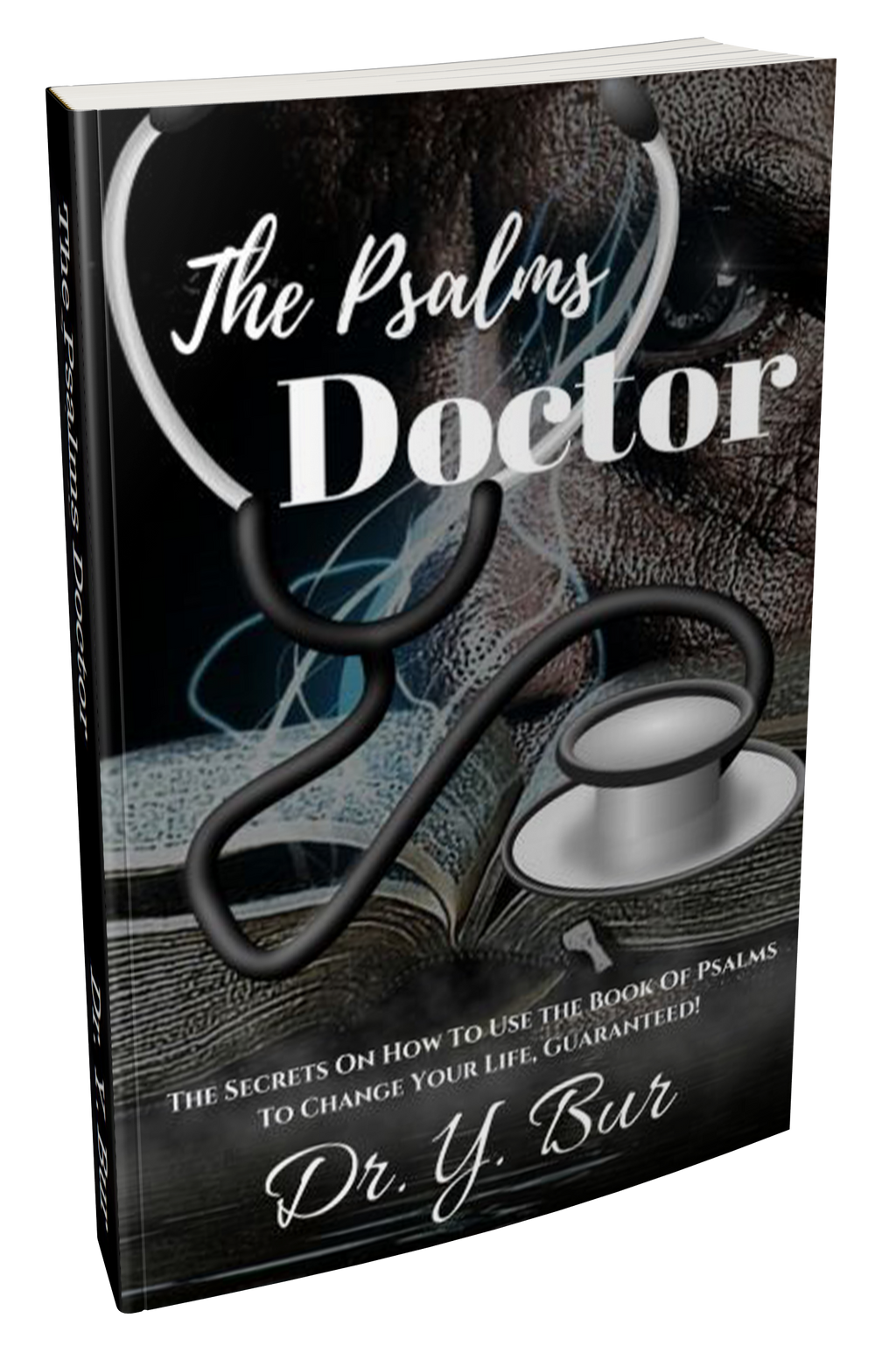 The Psalms Doctor eBook by Dr. Y. Bur