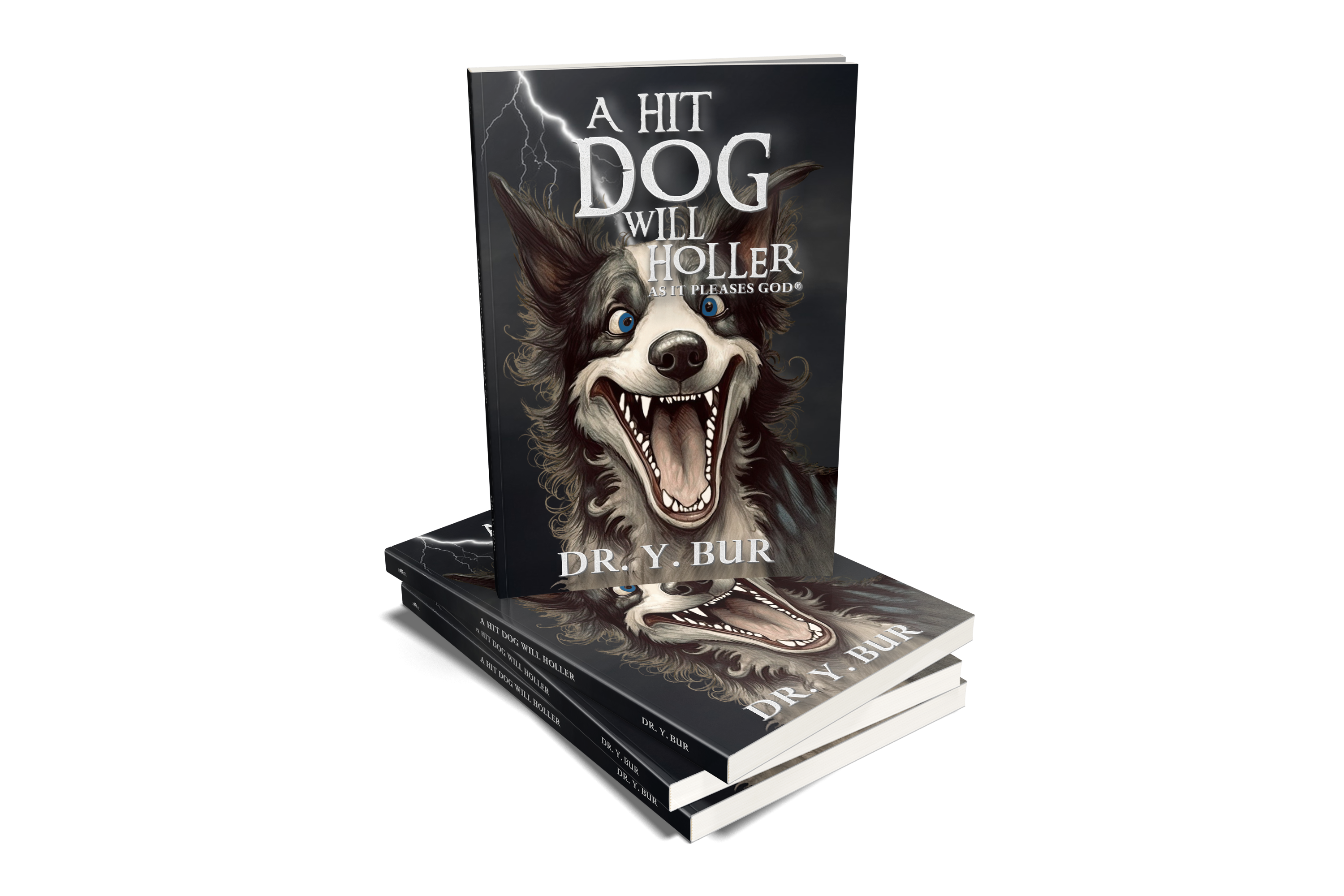 Hit Dog Will Holler eBook by Dr. Y. Bur