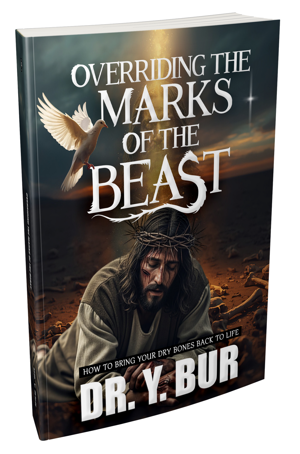 Overriding The Marks of the Beast Book Series (4) eBooks