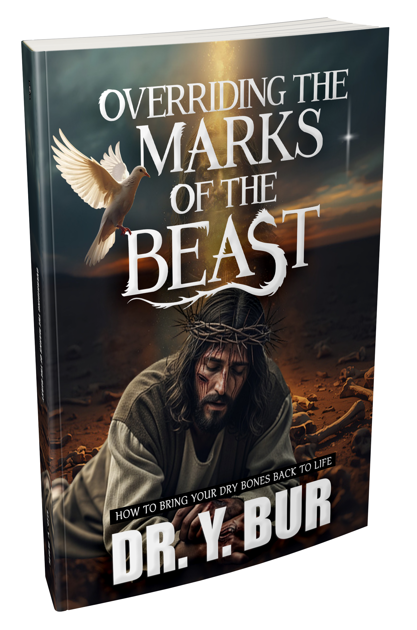 Overriding The Marks of the Beast Book Series (4) eBooks