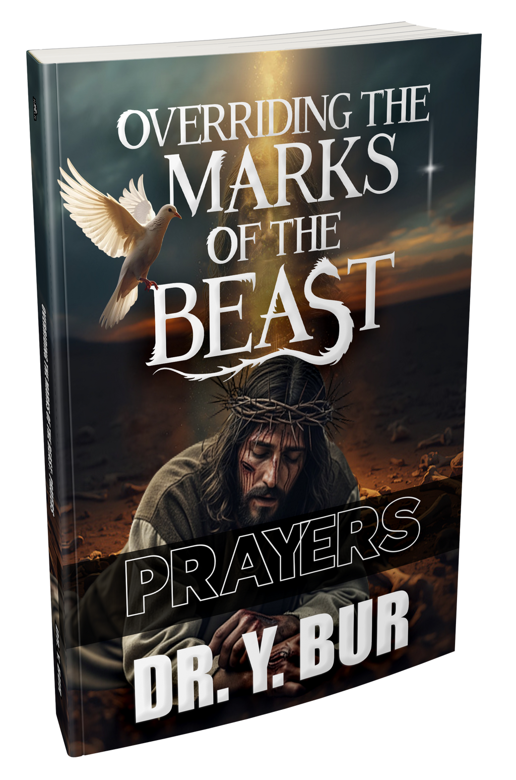 Overriding The Marks of the Beast Book Series (4) eBooks