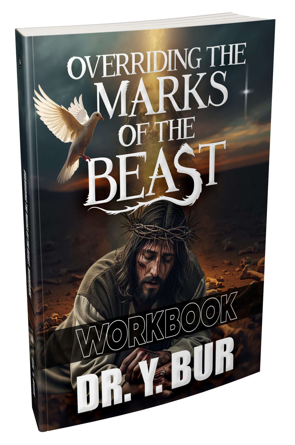 Overriding The Marks of the Beast Book Series (4) eBooks