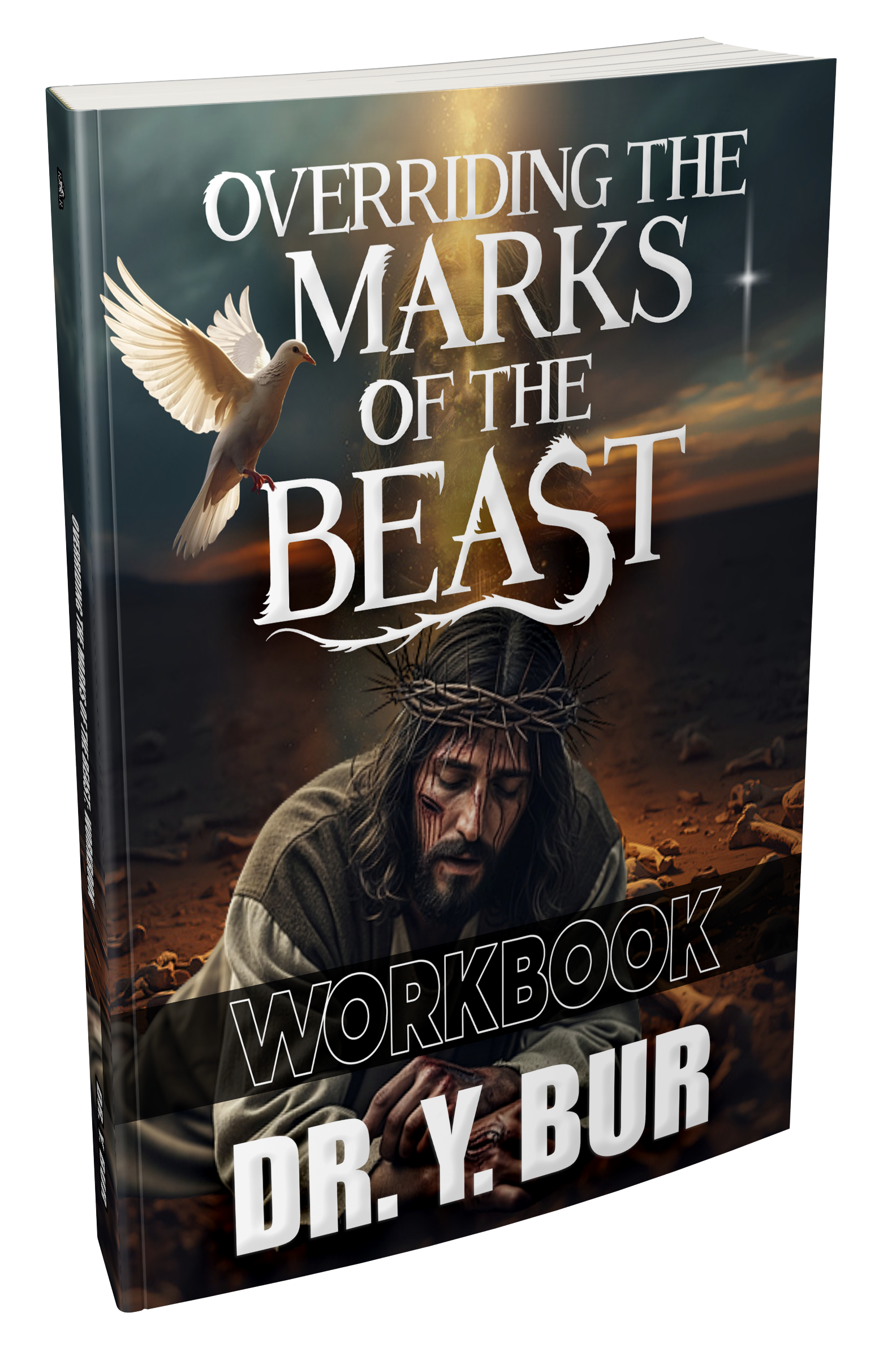 Overriding The Marks of the Beast  Workbook eBook