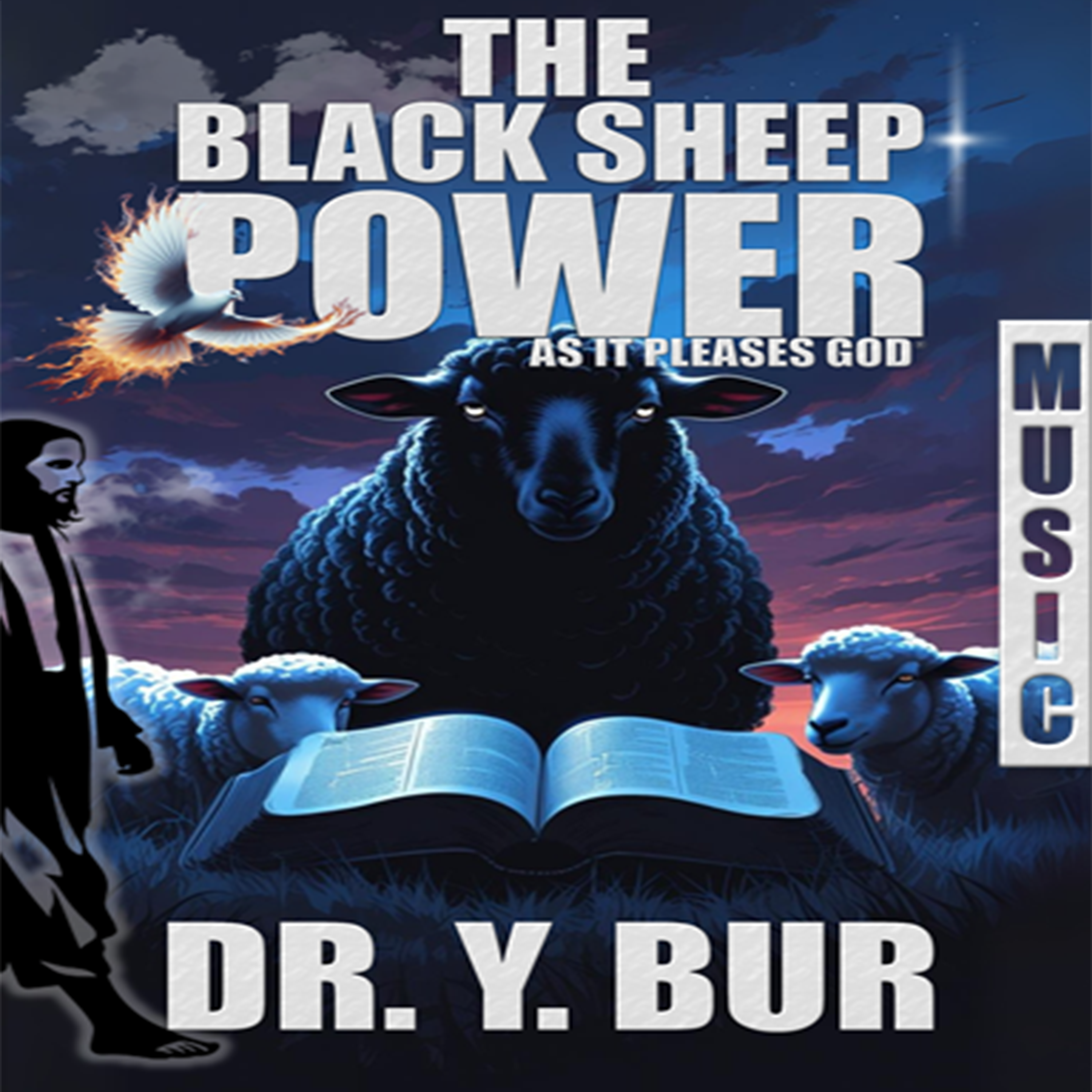 The Black Sheep Power Music - VCHPRF1